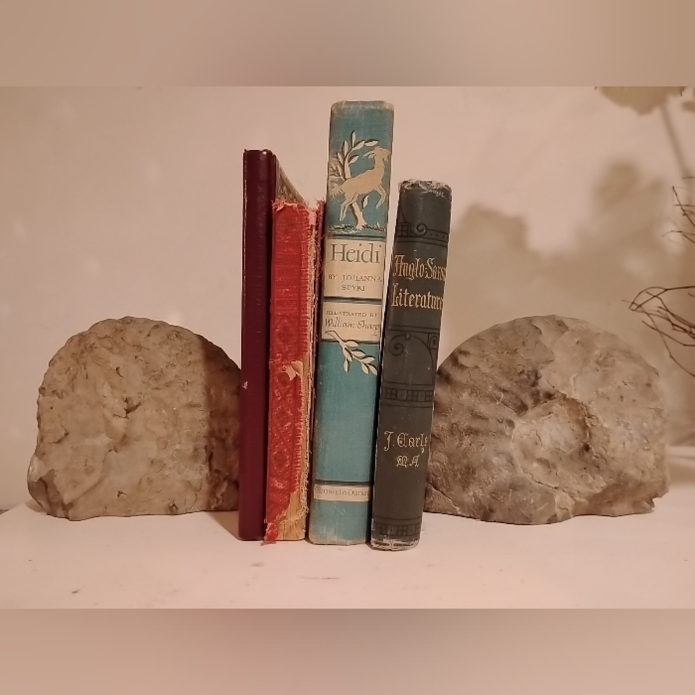 Ammonite Fossil Authentic Matched Pair Set Polished Natural Eco Decor Bookends - Picture 7 of 10